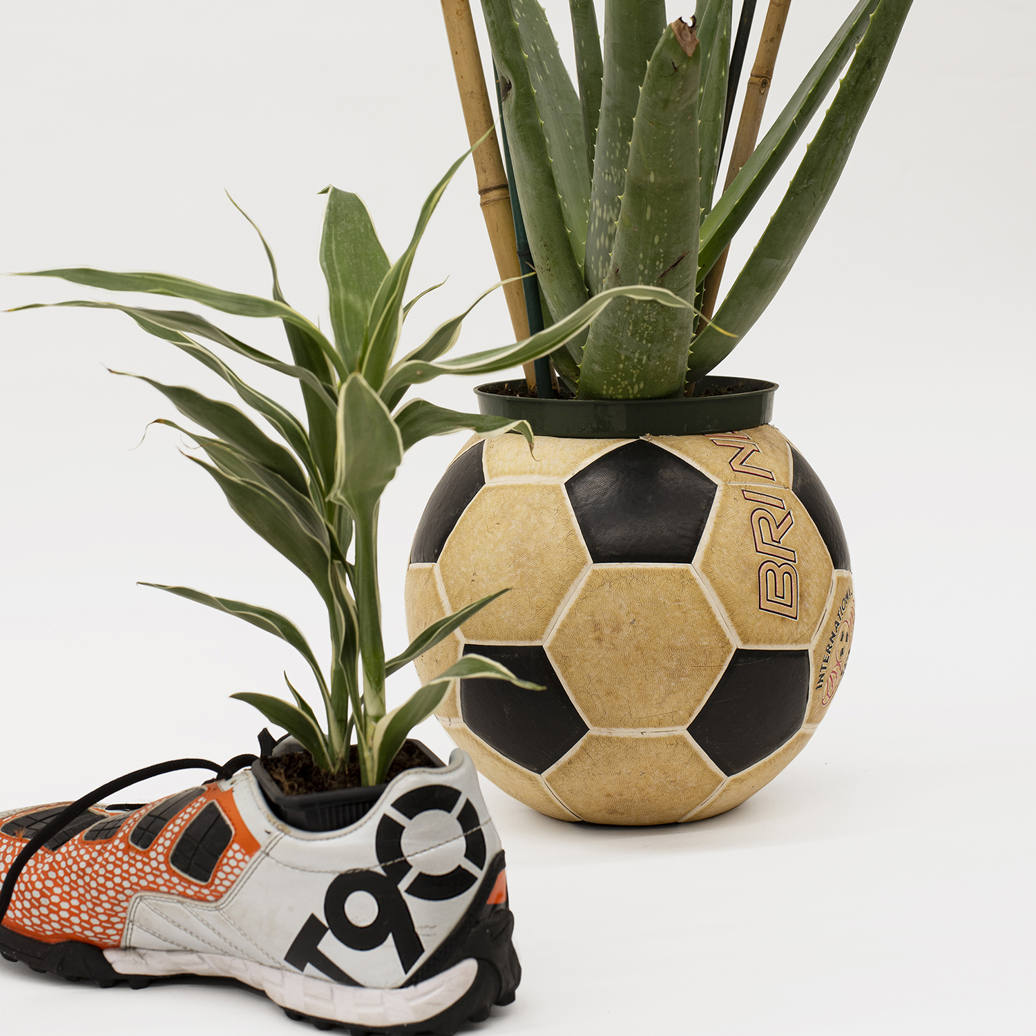 Plants in a soccer ball and a running shoe